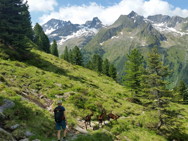 Hiking in the Zillertal, hiking guide, MalisGarten Green Spa Hotel